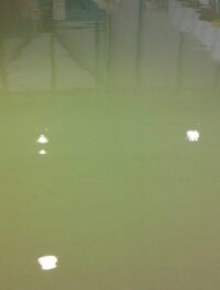 15228084_1806354382955837_1629584134_n