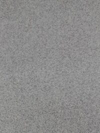 15281936_1806351896289419_348093716_n-1