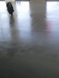 15301117_1806352682956007_1179714842_n