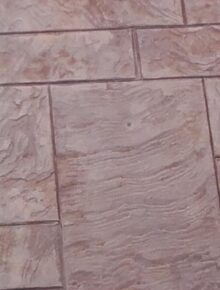 20151105_1457361 (1)