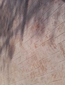 20151105_1459231 (1)