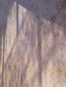 20151105_1459422 (1)