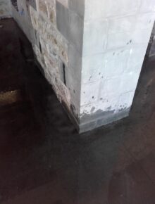 20160720_101357-e1475054643219