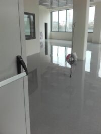 20170226_123301-e1509172632513