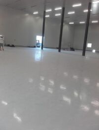 20170705_095926-e1509173155777