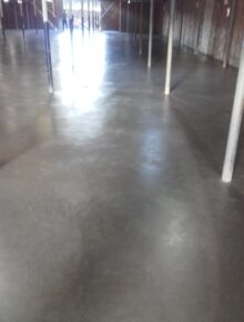 20171213_081816-e1525000059667